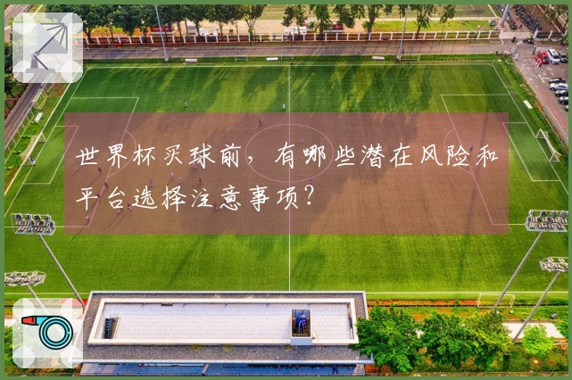 世界杯买球前，有哪些潜在风险和平台选择注意事项？