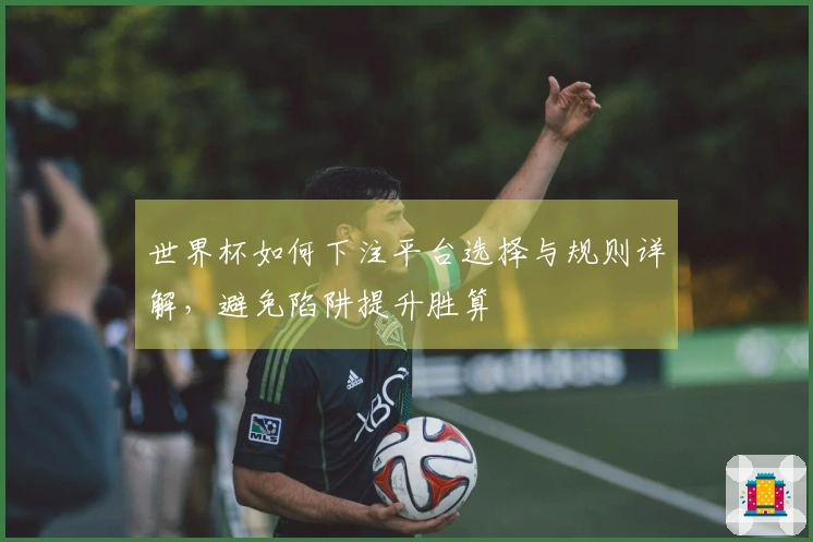 世界杯如何下注平台选择与规则详解,避免陷阱提升胜算